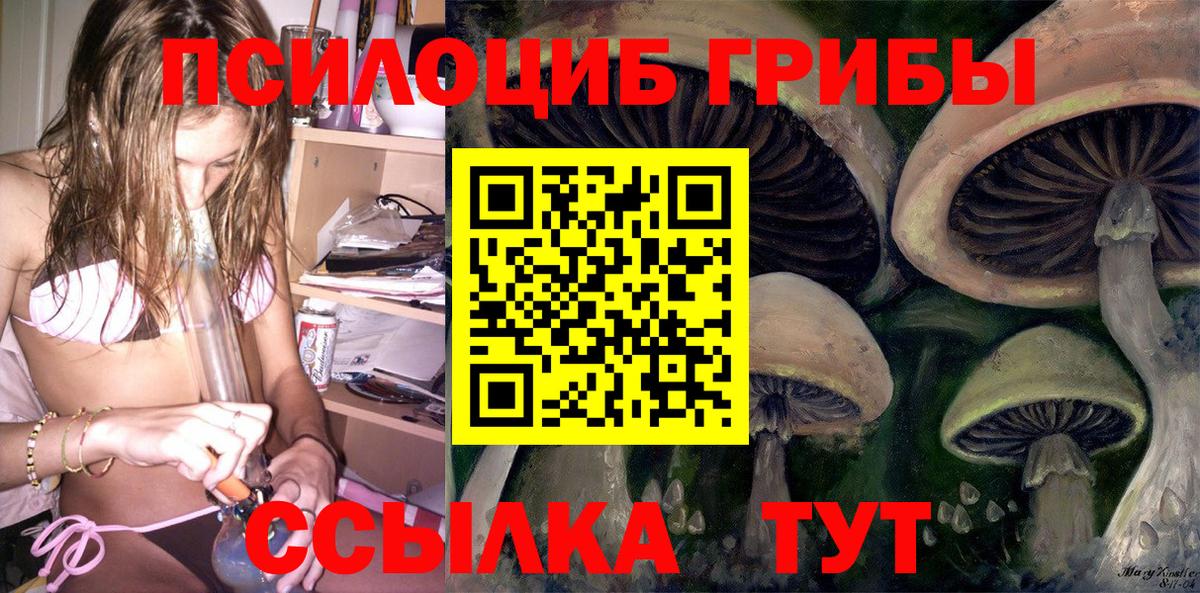 где найти   Псилоцибиновые грибы прущие грибы  Вход с VPN  Искитим 